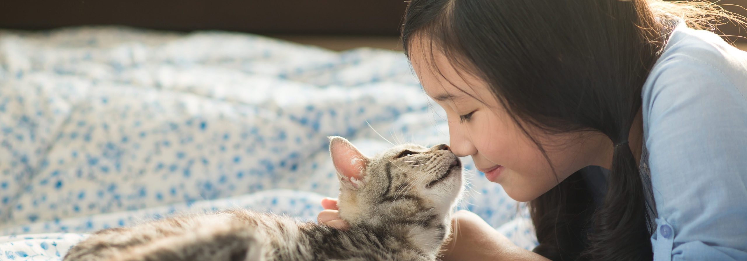 shutterstock_331765481