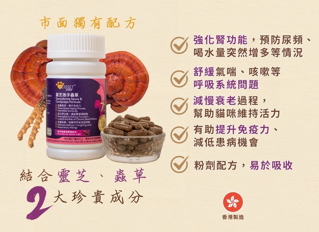20241103_Cosset_1050X763 _ 靈芝孢子蟲草老年貓專用配方 - 2