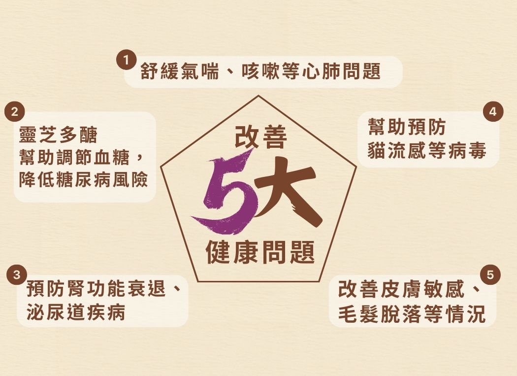 20241103_Cosset_1050X763 _靈芝孢子蟲草貓用肉粒配方 - 3